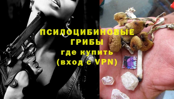 хмурый Алексин