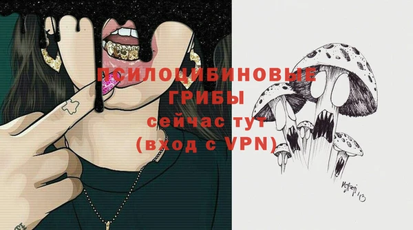 шишки Алексеевка