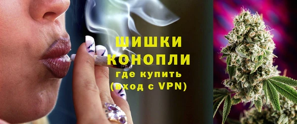 ГАЛЛЮЦИНОГЕННЫЕ ГРИБЫ Абаза