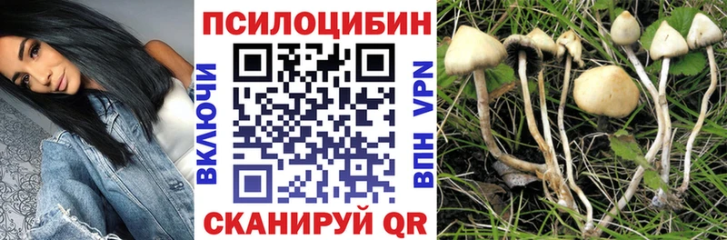 Псилоцибиновые грибы MAGIC MUSHROOMS  Емва 
