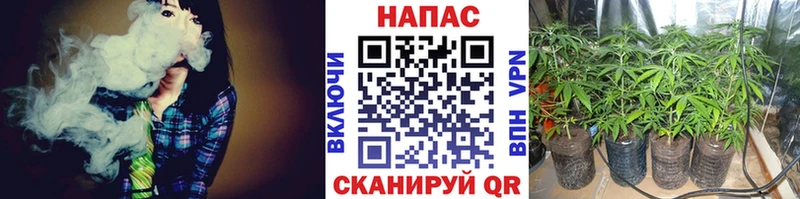 МАРИХУАНА MAZAR  купить наркоту  hydra зеркало  Емва 